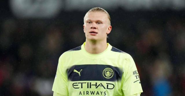 金鹿撞伤勇 金鹿撞伤勇